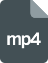mp4